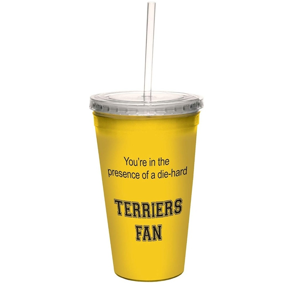 🌸5for12🌸 Double Walled Terrier Fan 16oz Cup